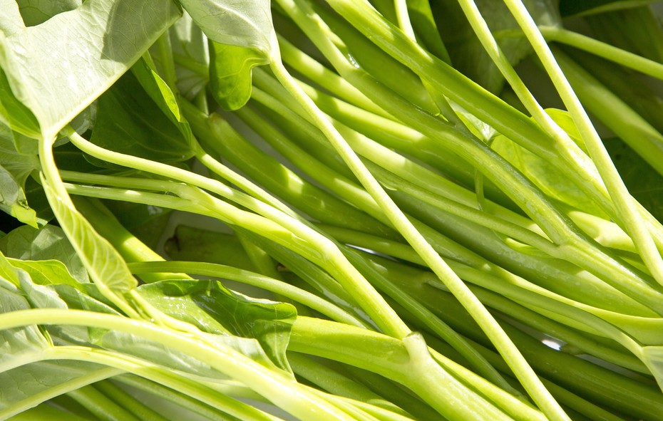 はなまる農園 旬のお野菜 空芯菜